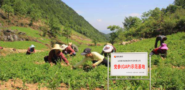 振东,*参示范基地